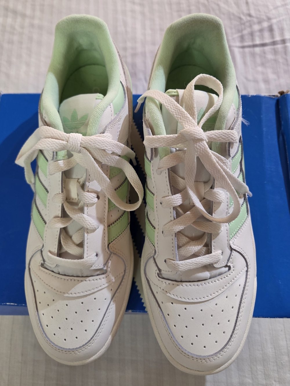 adidas Women White & Mint Green Low-Top Sneakers